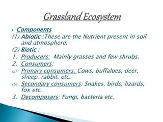  Components
(1) Abiotic :These are the Nutrient present in soil
and atmosphere.
(2) Biotic :
1. Producers: Mainly grasses and few shrubs.
2. Consumers:
(a) Primary consumers: Cows, buffaloes, deer,
sheep, rabbit, etc.
(b) Secondary consumers: Snakes, birds, lizards,
fox etc.
3. Decomposers: Fungi, bacteria etc.
 