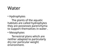 Water
• Hydrophytes
The plants of the aquatic
habitats are called hydrophytes
they are possesses parenchyma
to support themselves in water .
• Mesophytes
Terrestrial plans which are
neither adapted to particularly
dry nor particular weight
environment.
 