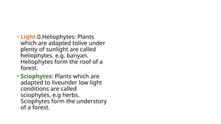 • Light:0.Heliophytes: Plants
which are adapted tolive under
plenty of sunlight are called
heliophytes. e.g. banyan.
Heliophytes form the roof of a
forest.
• Sciophytes: Plants which are
adapted to liveunder low light
conditions are called
sciophytes, e.g herbs.
Sciophytes form the understory
of a forest.
 