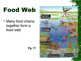 Figure 3-8 A Food Web

Food Web
Section 3-2



Many food chains
together form a
food web

Pg. 71

 