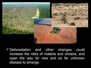  Deforestation and other changes could
  increase the risks of malaria and cholera, and
  open the way for new and so far unknown
  disease to emerge.
 