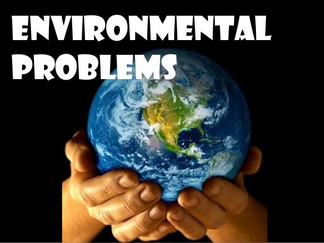 problems of ecology essay