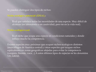 Eduardo Gómez La Ecosfera 14
Se pueden distinguir dos tipos de nichos:
Nicho ecológico potencial (IDEAL):
Es el que satisface todas las necesidades de una especie. Muy difícil de
alcanzar (en laboratorio o en cautividad, pero no en la vida real).
Nicho ecológico real:
Es el nicho que ocupa una especie en condiciones naturales y donde
influye mucho la competencia.
Existen especies muy próximas que ocupan nichos ecológicos distintos
(murciélagos de América central) y otras especies que ocupan nichos
equivalentes en zonas geográficas alejadas para evitar la competencia
(canguro, bisonte, vaca…) A estos últimos tipos de especies se les denomina
VICARIAS.
 