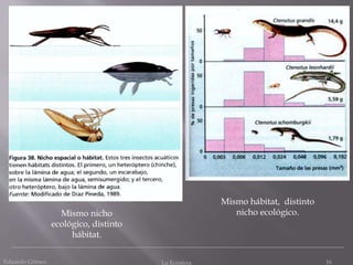 Eduardo Gómez La Ecosfera 16
Mismo nicho
ecológico, distinto
hábitat.
Mismo hábitat, distinto
nicho ecológico.
 