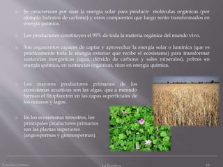 Eduardo Gómez La Ecosfera 19
o Se caracterizan por usar la energía solar para producir moléculas orgánicas (por
ejemplo hidratos de carbono) y otros compuestos que luego serán transformados en
energía química.
o Los productores constituyen el 99% de toda la materia orgánica del mundo vivo.
o Son organismos capaces de captar y aprovechar la energía solar o lumínica (que es
prácticamente toda la energía exterior que recibe el ecosistema) para transformar
sustancias inorgánicas (agua, dióxido de carbono y sales minerales), pobres en
energía química, en sustancias orgánicas, ricas en energía química.
o En los ecosistemas terrestres, los
principales productores primarios
son las plantas superiores
(angiospermas y gimnospermas).
o Los mayores productores primarios de los
ecosistemas acuáticos son las algas, que a menudo
forman el fitoplancton en las capas superficiales de
los océanos y lagos.
 