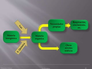 Eduardo Gómez La Ecosfera 20
Materia
inorgánica
Materia
orgánica
Necesidades
propias
Otros
niveles
tróficos
Respiración,
crecimiento,
etc.
 