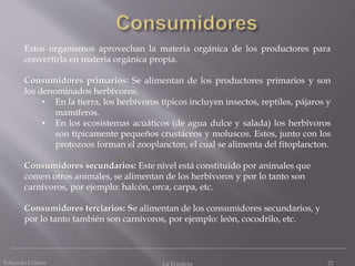Eduardo Gómez La Ecosfera 21
Estos organismos aprovechan la materia orgánica de los productores para
convertirla en materia orgánica propia.
Consumidores primarios: Se alimentan de los productores primarios y son
los denominados herbívoros.
• En la tierra, los herbívoros típicos incluyen insectos, reptiles, pájaros y
mamíferos.
• En los ecosistemas acuáticos (de agua dulce y salada) los herbívoros
son típicamente pequeños crustáceos y moluscos. Estos, junto con los
protozoos forman el zooplancton, el cual se alimenta del fitoplancton.
Consumidores secundarios: Este nivel está constituido por animales que
comen otros animales, se alimentan de los herbívoros y por lo tanto son
carnívoros, por ejemplo: halcón, orca, carpa, etc.
Consumidores terciarios: Se alimentan de los consumidores secundarios, y
por lo tanto también son carnívoros, por ejemplo: león, cocodrilo, etc.
 