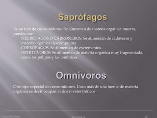 Eduardo Gómez La Ecosfera 22
Es un tipo de consumidores. Se alimentan de materia orgánica muerta,
pueden ser:
NECRÓFAGOS O CARROÑEROS. Se alimentan de cadáveres y
materia orgánica descompuesta.
COPRÓFAGOS. Se alimentan de excrementos.
DETRITÍVOROS. Se alimentan de materia orgánica muy fragmentada,
como los pólipos y las lombrices.
Omnívoros
Otro tipo especial de consumidores. Usan más de una fuente de materia
orgánica es decir ocupan varios niveles tróficos
 