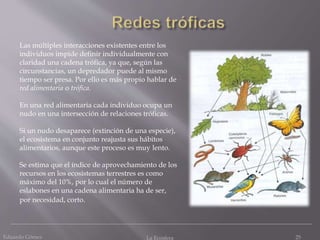 Eduardo Gómez La Ecosfera 25
Las múltiples interacciones existentes entre los
individuos impide definir individualmente con
claridad una cadena trófica, ya que, según las
circunstancias, un depredador puede al mismo
tiempo ser presa. Por ello es más propio hablar de
red alimentaria o trófica.
En una red alimentaria cada individuo ocupa un
nudo en una intersección de relaciones tróficas.
Si un nudo desaparece (extinción de una especie),
el ecosistema en conjunto reajusta sus hábitos
alimentarios, aunque este proceso es muy lento.
Se estima que el índice de aprovechamiento de los
recursos en los ecosistemas terrestres es como
máximo del 10%, por lo cual el número de
eslabones en una cadena alimentaria ha de ser,
por necesidad, corto.
 
