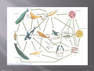 Eduardo Gómez La Ecosfera 26
 