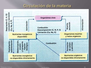 Eduardo Gómez La Ecosfera 30
 