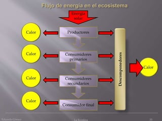 Eduardo Gómez La Ecosfera 33
Productores
Consumidores
primarios
Consumidores
secundarios
Consumidor final
Descomponedores
Calor
Energía
solar
Calor
Calor
Calor
Calor
 