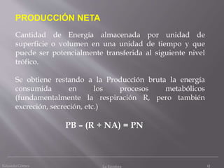 Eduardo Gómez La Ecosfera 41
PRODUCCIÓN NETA
Cantidad de Energía almacenada por unidad de
superficie o volumen en una unidad de tiempo y que
puede ser potencialmente transferida al siguiente nivel
trófico.
Se obtiene restando a la Producción bruta la energía
consumida en los procesos metabólicos
(fundamentalmente la respiración R, pero también
excreción, secreción, etc.)
PB – (R + NA) = PN
 