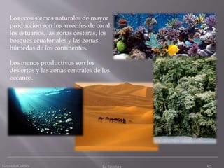 Eduardo Gómez La Ecosfera 42
Los ecosistemas naturales de mayor
producción son los arrecifes de coral,
los estuarios, las zonas costeras, los
bosques ecuatoriales y las zonas
húmedas de los continentes.
Los menos productivos son los
desiertos y las zonas centrales de los
océanos.
 