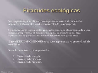 Eduardo Gómez La Ecosfera 43
Son esquemas que se utilizan para representar cuantitativamente las
relaciones tróficas entre los distintos niveles de un ecosistema.
Se utilizan barras superpuestas que suelen tener una altura constante y una
longitud proporcional al parámetro elegido, de manera que el área
representada es proporcional al valor del parámetro que se mide.
El nivel DESCOMPONEDORES no se suele representar, ya que es difícil de
cuantificar.
Se suelen usar tres tipos de pirámides:
1. Pirámides de energía,
2. Pirámides de biomasa
3. Pirámides de números.
 