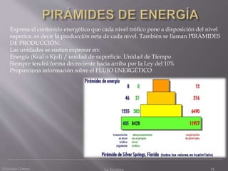 Eduardo Gómez La Ecosfera 44
Expresa el contenido energético que cada nivel trófico pone a disposición del nivel
superior, es decir la producción neta de cada nivel. También se llaman PIRÁMIDES
DE PRODUCCIÓN.
Las unidades se suelen expresar en:
Energía (Kcal o Kjul) / unidad de superficie. Unidad de Tiempo
Siempre tendrá forma decreciente hacia arriba por la Ley del 10%
Proporciona información sobre el FLUJO ENERGÉTICO
 