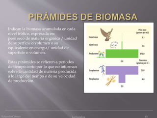 Eduardo Gómez La Ecosfera 45
Indican la biomasa acumulada en cada
nivel trófico, expresada en:
peso seco de materia orgánica / unidad
de superficie o volumen o su
equivalente en energía/ unidad de
superficie o volumen.
Estas pirámides se refieren a periodos
de tiempo corto por lo que no informan
sobre la cantidad de materia producida
a lo largo del tiempo o de su velocidad
de producción.
 