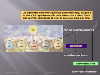 CICLOS BIOGEOQUÍMICOS
Los diferentes elementos químicos pasan del suelo, el agua o
el aire a los organismos y de unos seres vivos a otros, hasta
que vuelven, cerrándose el ciclo, al suelo o al agua o al aire.
GASEOSOS
SEDIMENTARIOS
atmósfera – océanos
suelo-rocas-mineralesEduardo Gómez La Ecosfera 50
 