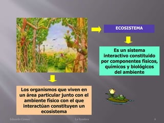 ECOSISTEMA
Es un sistema
interactivo constituido
por componentes físicos,
químicos y biológicos
del ambiente
Los organismos que viven en
un área particular junto con el
ambiente físico con el que
interactúan constituyen un
ecosistema
Eduardo Gómez La Ecosfera 6
 