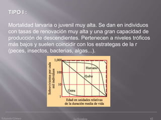 TIPO I :
Mortalidad larvaria o juvenil muy alta. Se dan en individuos
con tasas de renovación muy alta y una gran capacidad de
producción de descendientes. Pertenecen a niveles tróficos
más bajos y suelen coincidir con los estrategas de la r
(peces, insectos, bacterias, algas...).
62Eduardo Gómez La Ecosfera
 
