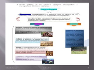 Eduardo Gómez La Ecosfera 70
 