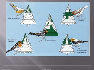77
Eduardo Gómez La Ecosfera
 