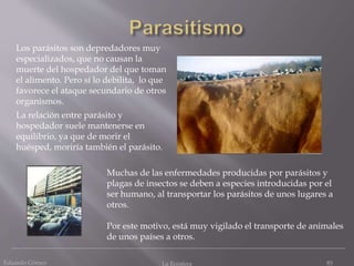Eduardo Gómez La Ecosfera 83
Los parásitos son depredadores muy
especializados, que no causan la
muerte del hospedador del que toman
el alimento. Pero sí lo debilita, lo que
favorece el ataque secundario de otros
organismos.
La relación entre parásito y
hospedador suele mantenerse en
equilibrio, ya que de morir el
huésped, moriría también el parásito.
Muchas de las enfermedades producidas por parásitos y
plagas de insectos se deben a especies introducidas por el
ser humano, al transportar los parásitos de unos lugares a
otros.
Por este motivo, está muy vigilado el transporte de animales
de unos países a otros.
 