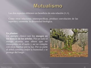 Eduardo Gómez La Ecosfera 85
Las dos especies obtienen un beneficio de esta relación (+,+).
En plantas:
Un ejemplo clásico son los musgos en
los troncos de los árboles. Por un lado el
musgo alcanza una altura que no
conseguiría en el suelo y así no compite
con otras hierbas por la luz. Por su parte
el árbol conserva mejor la humedad y se
protege del fuego.
Como otras relaciones interespecíficas, produce coevolución de las
especies y aumenta la diversidad biológica.
 