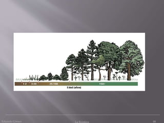 Eduardo Gómez La Ecosfera 88
 