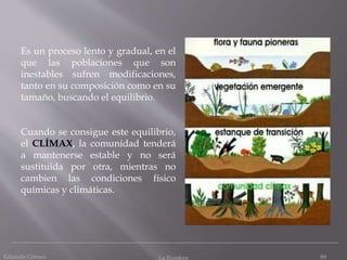 Eduardo Gómez La Ecosfera 89
Es un proceso lento y gradual, en el
que las poblaciones que son
inestables sufren modificaciones,
tanto en su composición como en su
tamaño, buscando el equilibrio.
Cuando se consigue este equilibrio,
el CLÍMAX, la comunidad tenderá
a mantenerse estable y no será
sustituida por otra, mientras no
cambien las condiciones físico
químicas y climáticas.
 