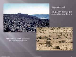 Regresión total:
Erupción volcánica que
cubre el terreno de lava
Regresión por deforestación.
Se mantiene el suelo
Eduardo Gómez La Ecosfera 93
 