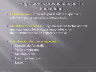 Eduardo Gómez La Ecosfera 96
Regresiones provocadas por la
humanidad
 Deforestación: Provocada por la tala y la quema de
árboles y por la agricultura mecanizada.
 Incendios forestales: El fuego ha sido un factor natural
que rejuvenece los bosques templados y los
mediterráneos ricos en especies pirófilas.
 Introducción de nuevas especies:
 Conejos de Australia
 Visón americano
 Mejillón cebra
 Cangrejo americano
 Lucio
 