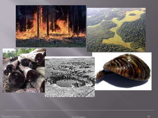 Eduardo Gómez La Ecosfera 97
 