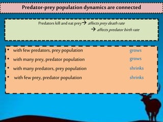 Predators kill and eat prey affectspreydeathrate
 affectspredatorbirthrate
• with few predators, prey population
• with many prey, predator population
• with many predators, prey population
• with few prey, predator population
Predator-prey population dynamics are connected
grows
grows
shrinks
shrinks
 