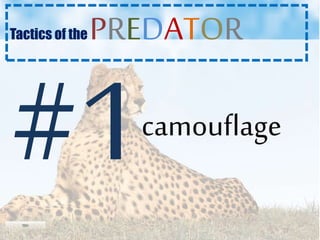 Tactics of the PREDATOR
camouflage
 