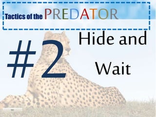 Hide and
Wait
Tactics of the PREDATOR
 