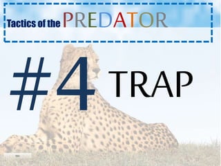 TRAP
Tactics of the PREDATOR
 