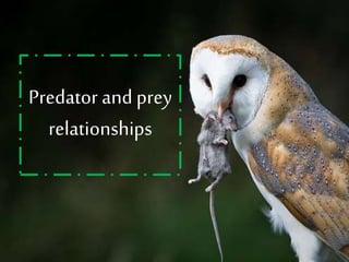Predator and prey
relationships
 