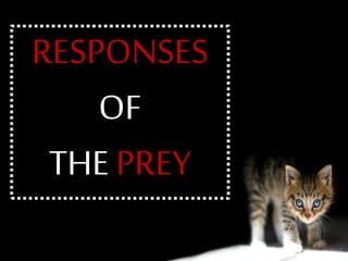 RESPONSES
OF
THE PREY
 