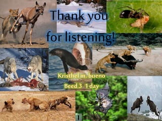 Thank you
for listening!
 