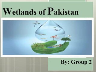 Wetlands of Pakistan
By: Group 21
 