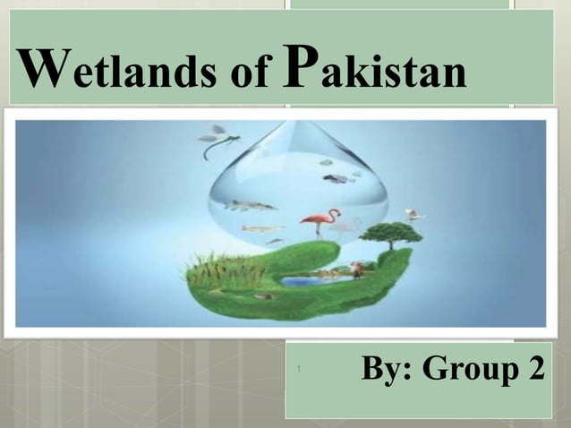 Wetlands of Pakistan, their Conservation & Management PPT