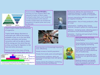 Key concepts
Environmental changes like global
warming can have negative effects like
reduction of polar ice which makes
hunting for polar bears much harder but
can also be positive as the reduced
number of polar bears can increase the
populations of species polar bears prey
on like seals
Food security is an increasingly important
issue, affected by:
Steady increase of world’s population
Threats from weeds, pests and pathogens
Environmental conditions, which are
becoming increasingly erratic with global
warming
Human activity like pollution, overfishing,
intensive farming or profiteering
Biodiversity defines the assortment of
organisms present in n area, considering
food chains & webs, habitats or ecosystems
Humans interactions with the ecosystem can
be negative including:
Deforestation – loss of many producers, often
for crops
Urbanisation – building cities, homes,
factories, transport systems & creating waste
Pollution – dumping waste, releasing gases in
atmosphere and contaminating water
Extraction - fracking and quarrying & mining
for minerals and coal
Pyramids can pictorially show a food
chain’s trophic levels and the biomass
of organisms
Trophic levels always decrease as
autotrophs get 100% of the energy
available to pass on to the next level,
primary, secondary and tertiary
consumers will not be able to obtain
all the energy put into what they eat
as they use enrgy for digestion or the
food and other processes
Biomass looks at the mass of living
materia on each trophic level, each is
drawn to scale
Both biodiversity and food
security can be improved by
conservation:
Guaranteeing future food supply
eg by stopping overfishing
Protecting endangered species –
preventing disruption of the
food chain can avoid additional
loss of biodiversity
Programmes create jobs and
ecotourism can generate good
income
Medical research can benefit
from the survival of potential
active ingredients yet to be
discovered
 