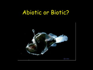 Abiotic or Biotic? 