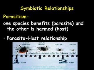 Symbiotic Relationships
Parasitism-
one species benefits (parasite) and
the other is harmed (host)
• Parasite-Host relationship
 