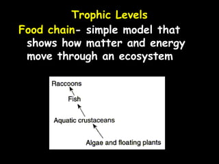 Trophic Levels
Food chain- simple model that
shows how matter and energy
move through an ecosystem
 