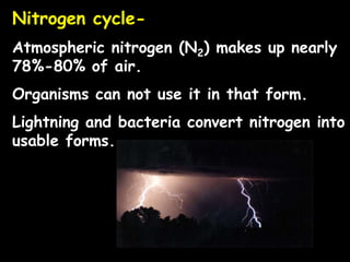 Nitrogen cycle-
Atmospheric nitrogen (N2) makes up nearly
78%-80% of air.
Organisms can not use it in that form.
Lightning and bacteria convert nitrogen into
usable forms.
 