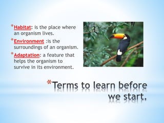 *
*Habitat: is the place where
an organism lives.
*Environment :is the
surroundings of an organism.
*Adaptation: a feature that
helps the organism to
survive in its environment.
 