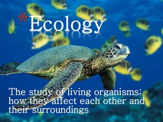 The study of living organisms;
how they affect each other and
their surroundings.
*Ecology
 