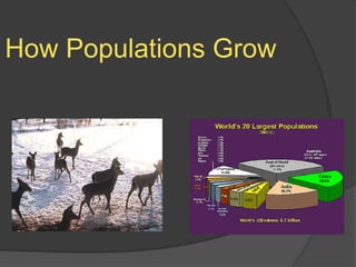 How Populations Grow 